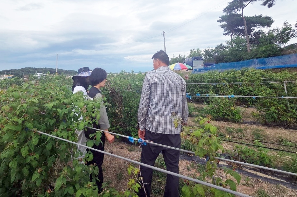 정읍시, 8월까지 매주 화·목 ‘영농현장의 날’ 운영…농가 애로 신속 해결 (2)