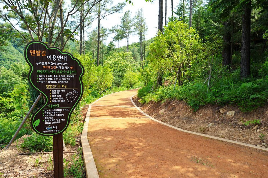 포토뉴스1-3.자연과 호흡하며 걷는다…보성 제암산자연휴양림_총길이 980m로 조성된 숲속 맨발길.jpg