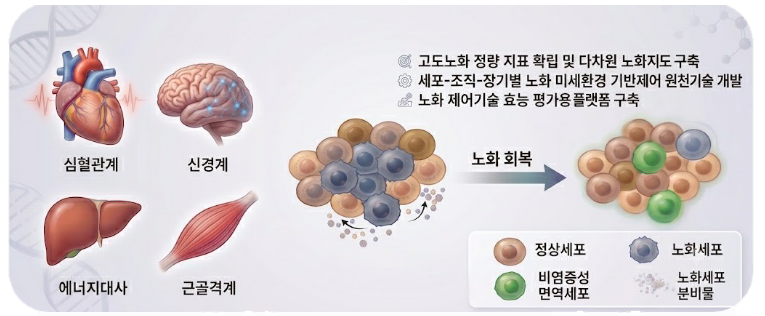 과기정통부와 산학연, 인간의 노화를 극복하기 위해 손을 맞잡다 첨부 이미지 1