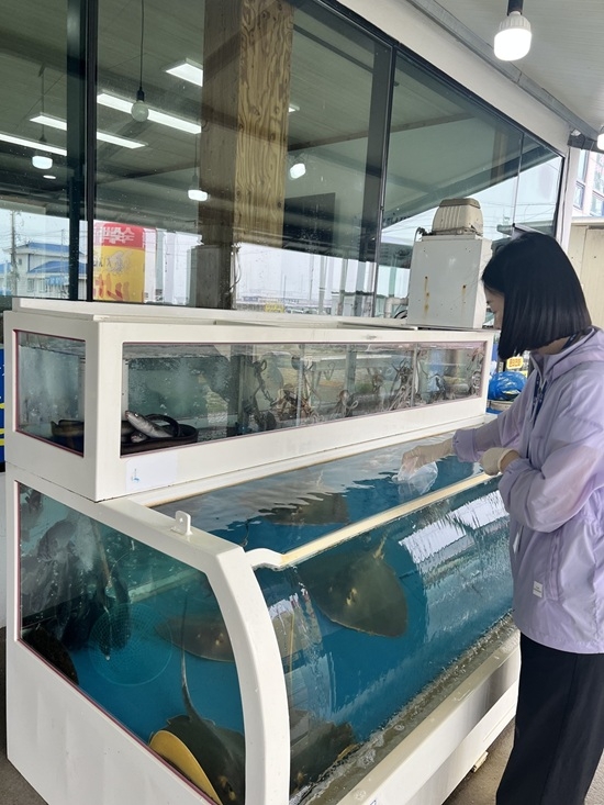 신안군, 비브리오패혈증 예방 캠페인 진행..