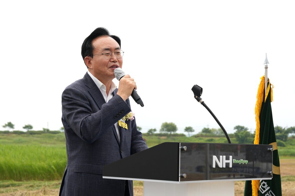 버려지던 영산강 들풀의 변신…나주시 조사료 자급률 높인다 첨부 이미지 2