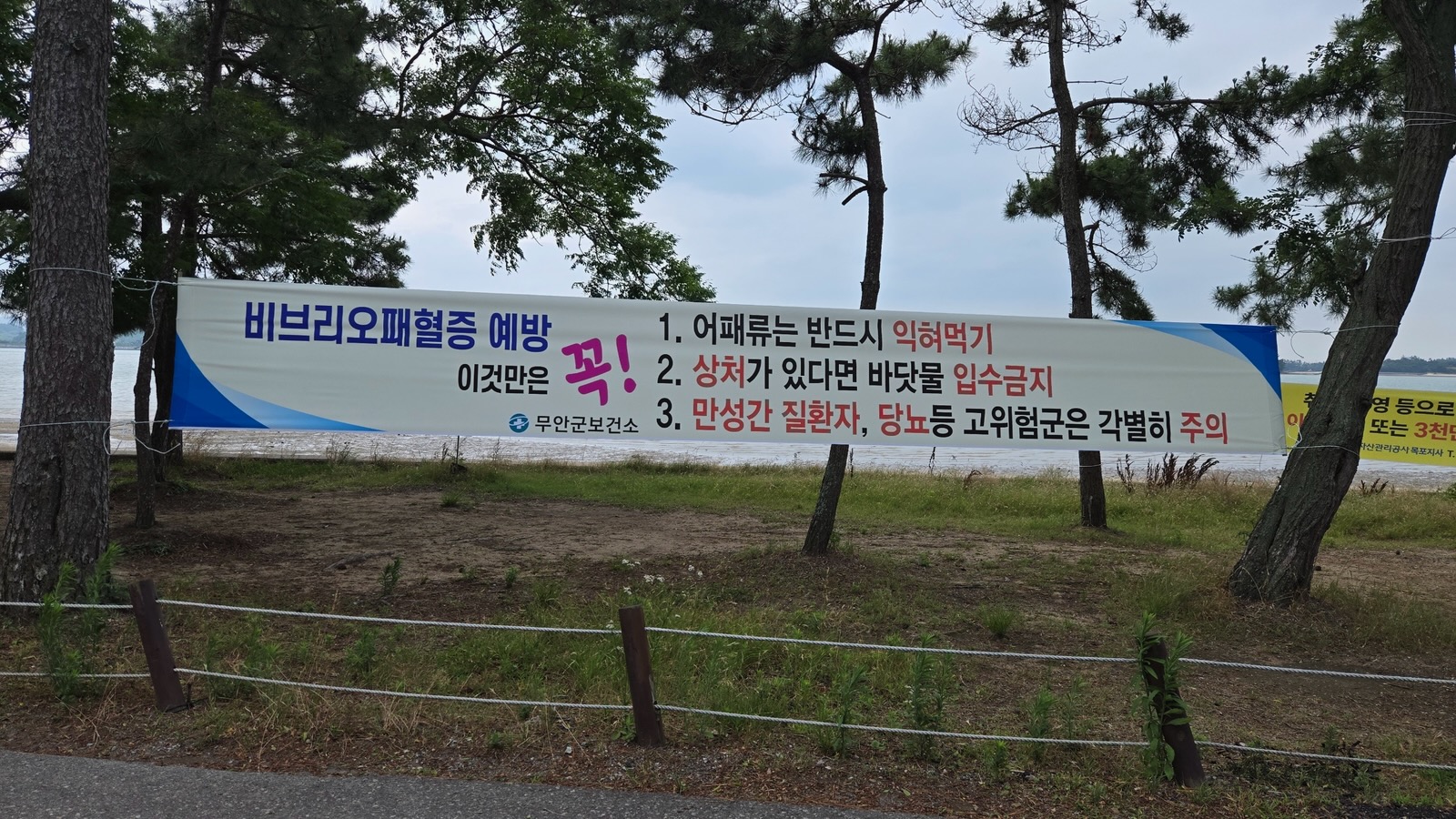 무안군, 여름철 비브리오패혈증 고위험군 관리 강화