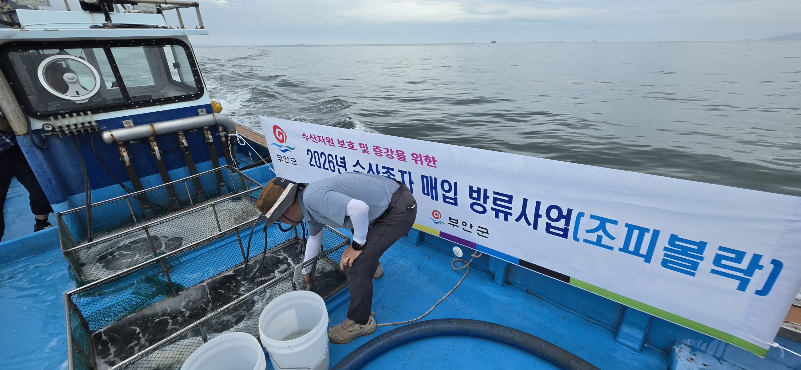 부안군, 연안 수산자원 조성 수산종자 방류 완료 2번째 이미지