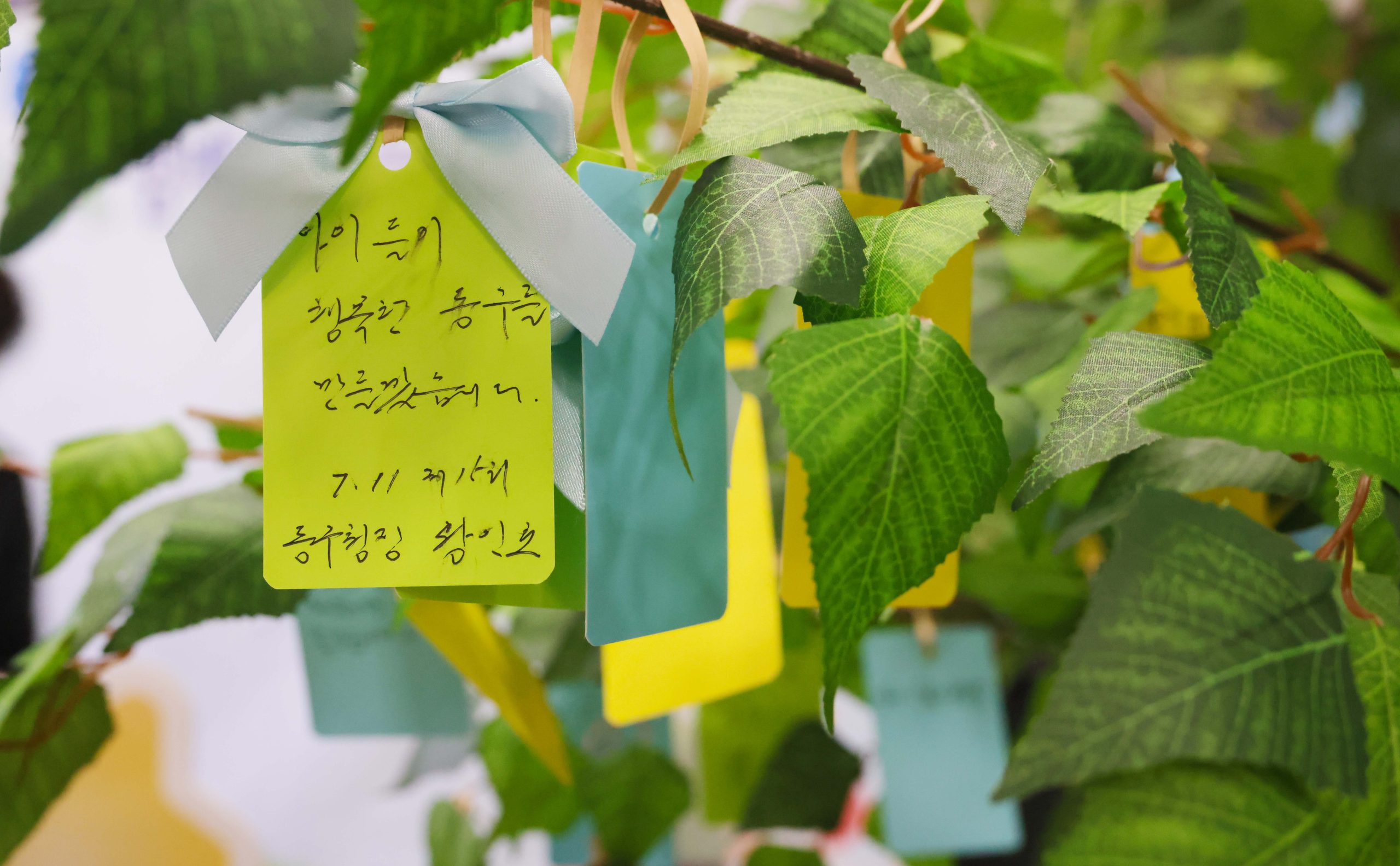 대전 동구, ‘제15회 인구의 날’ 캠페인(운동) 개최… 참여 열기 ‘후끈’