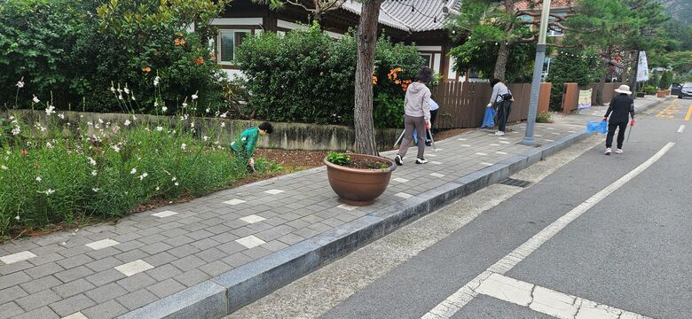 영암읍 ‧생활개선회, 기찬랜드 손님맞이 환경정비에 구슬땀 이미지 2