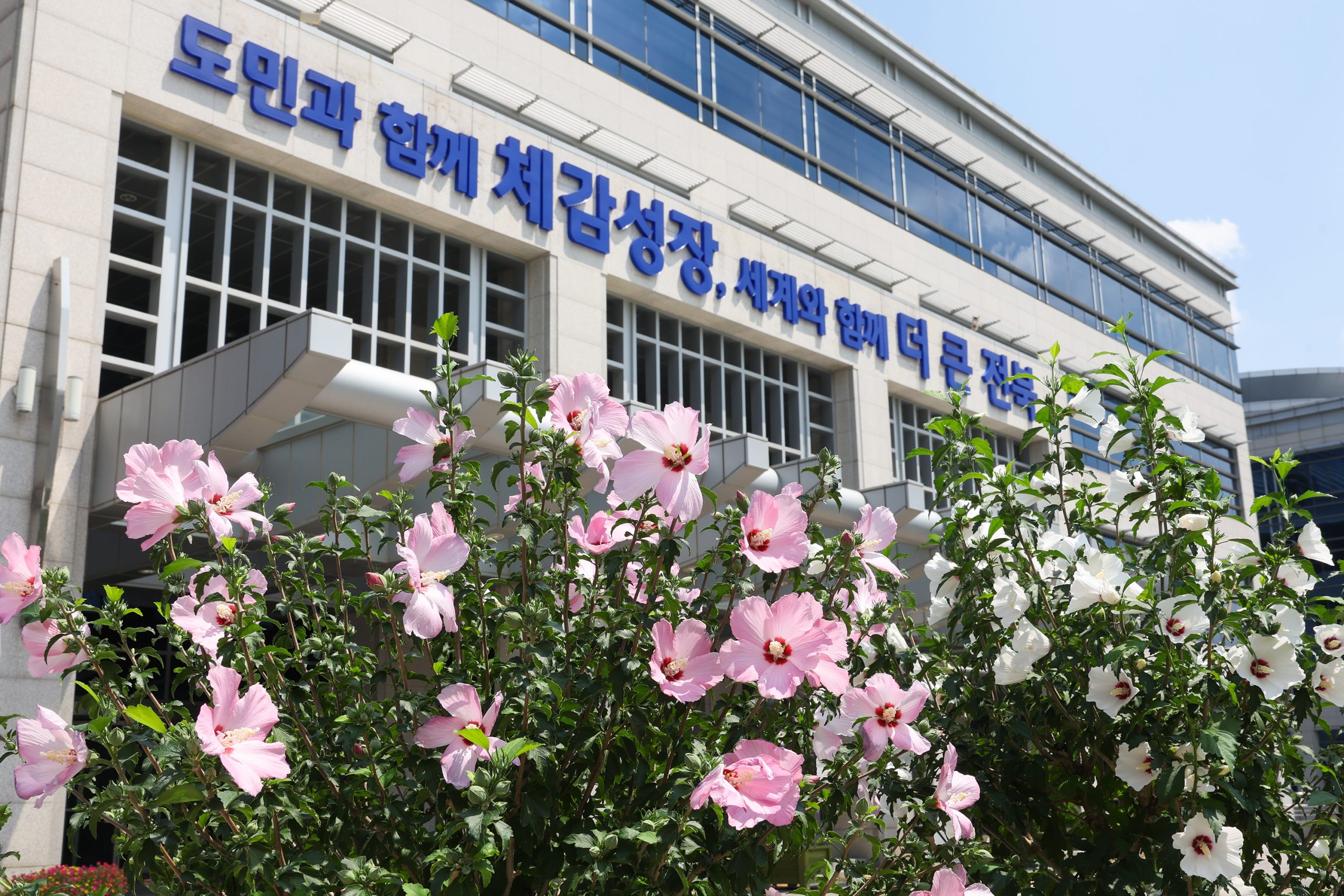 전북자치도, 광복 81주년 맞아 나라꽃 무궁화 전시 이미지(2)