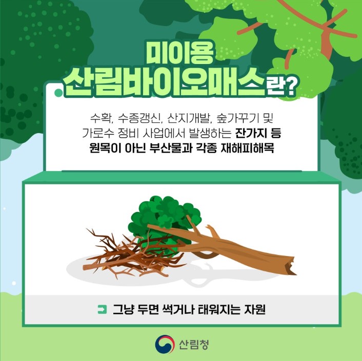 산림청 카드뉴스 홍보(미이용 산림바이오매스가 왜 탄소 중립 일까요?)