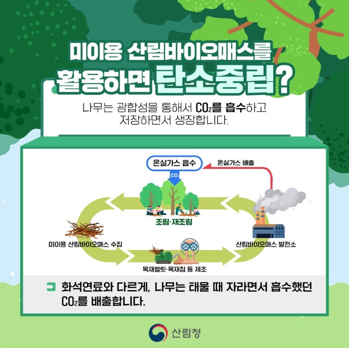산림청 카드뉴스 홍보(미이용 산림바이오매스가 왜 탄소 중립 일까요?)