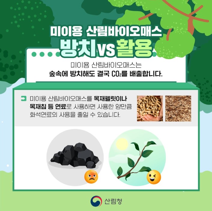 산림청 카드뉴스 홍보(미이용 산림바이오매스가 왜 탄소 중립 일까요?)