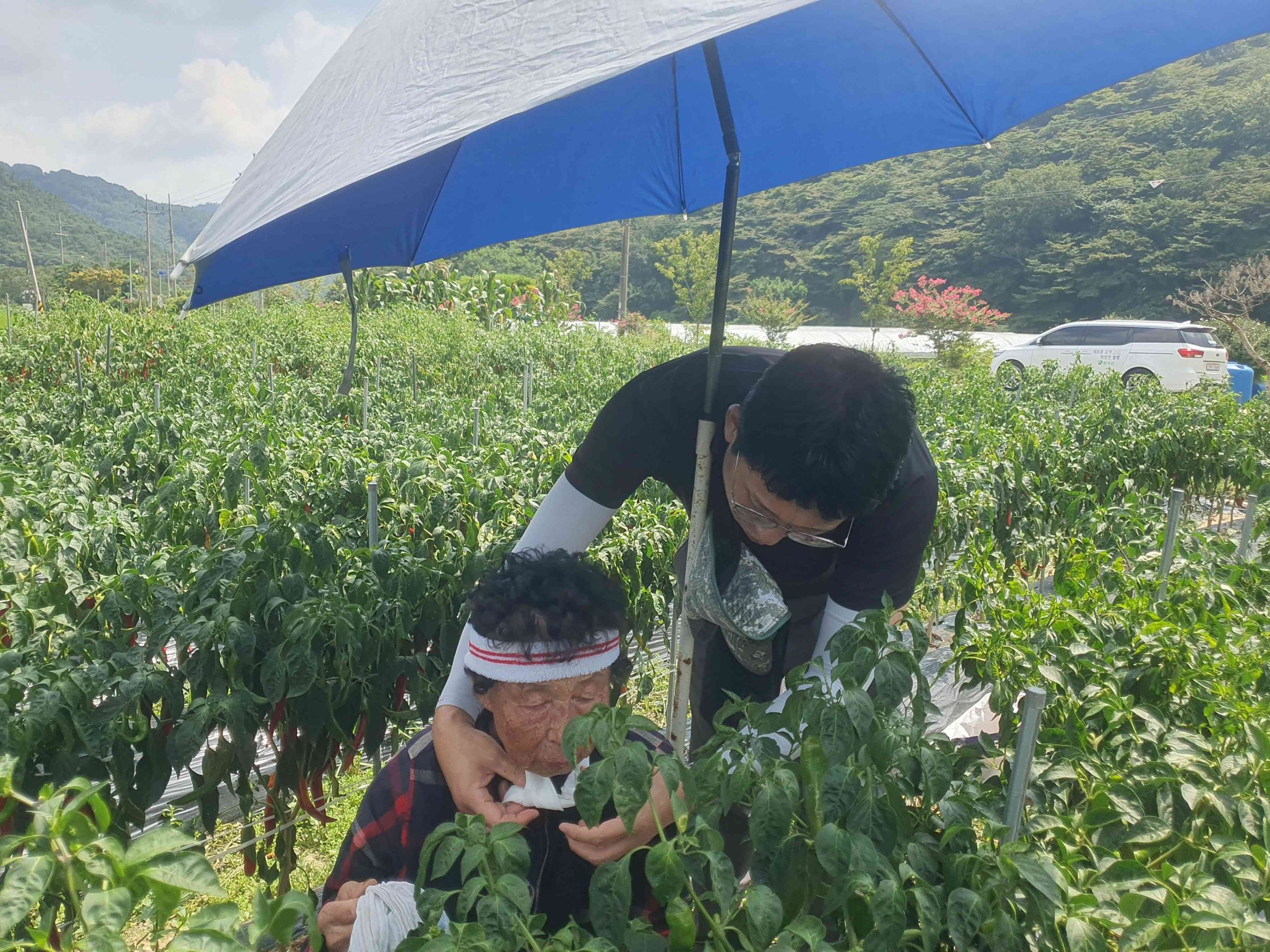 함평군, 농업인 안전 챙기기 나서…온열질환 대응 ‘앞장’