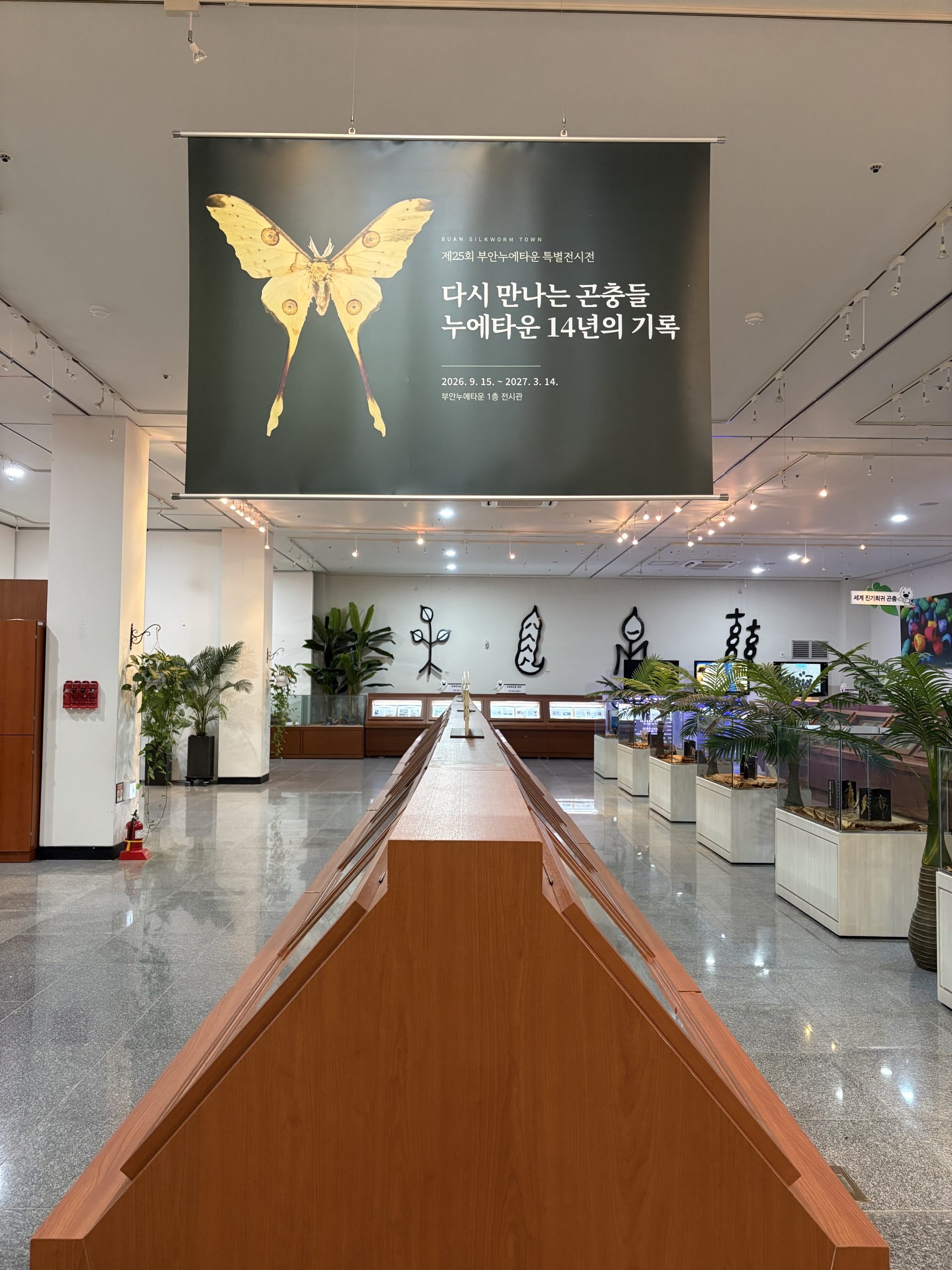 부안군, 부안누에타운 제25회 특별 전시전 개최 2번째 이미지