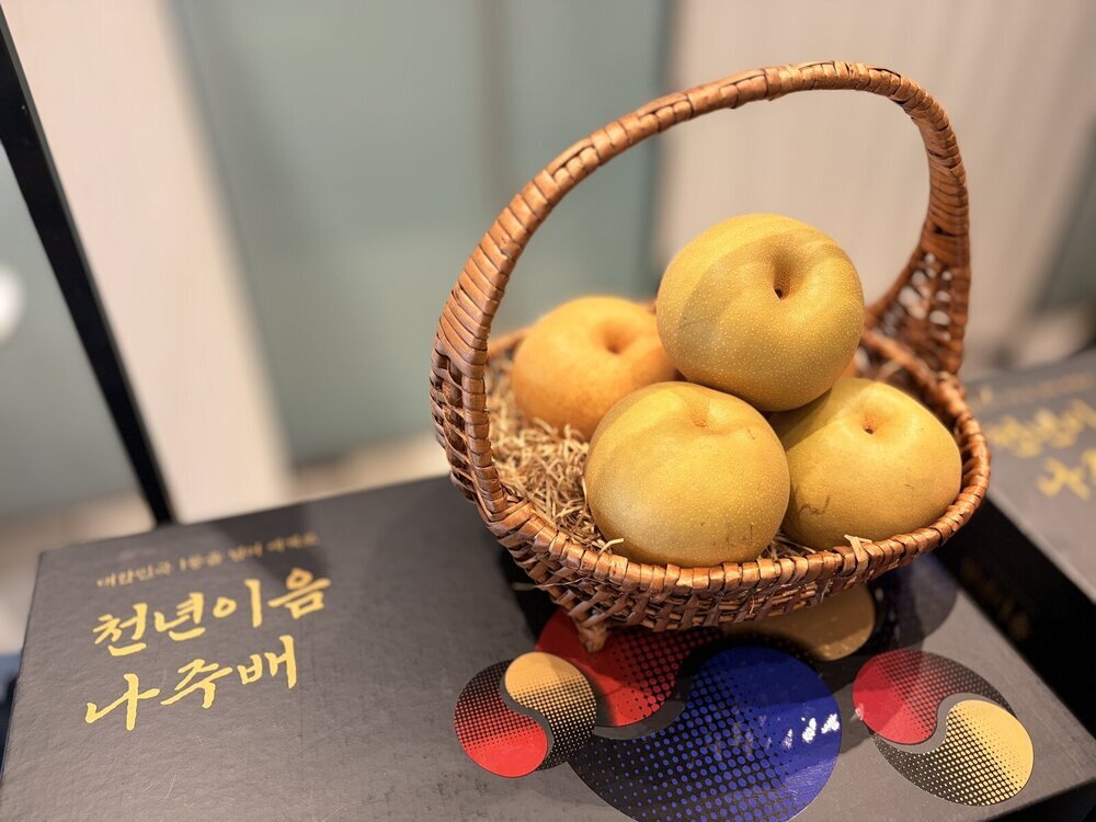 나주시, 추석 맞아 ‘천년이음 나주배’ 홍보·시식 확대 첨부 이미지 3