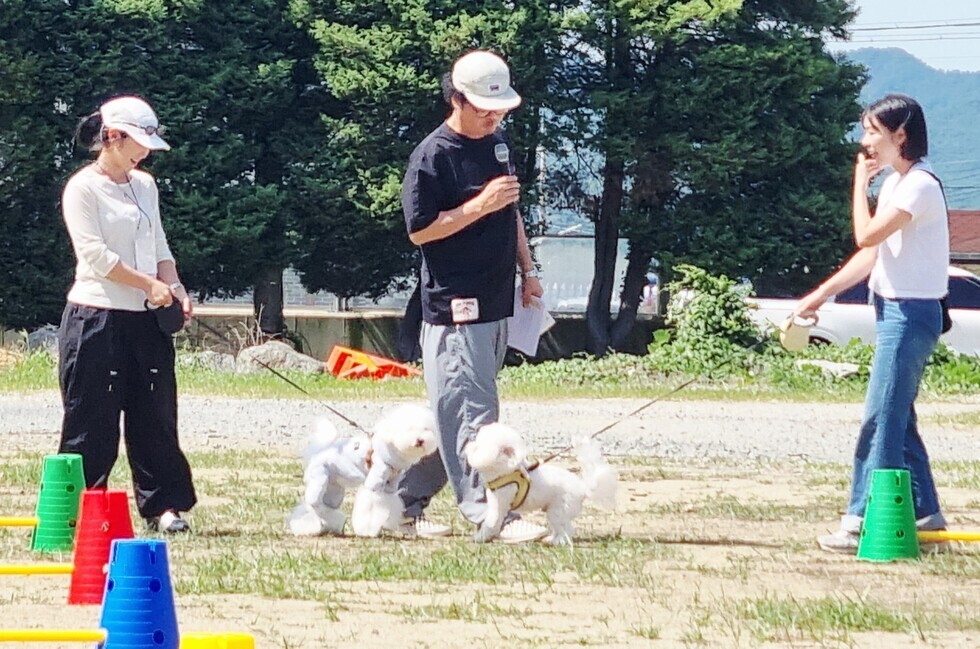 강진아르코에서 반려견과 함께하는 가을 운동회 모습.
