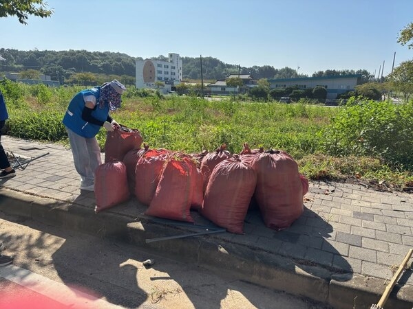 장성군 삼계면, 생활체육대축전 성공 기원 환경정화 나서 이미지 2