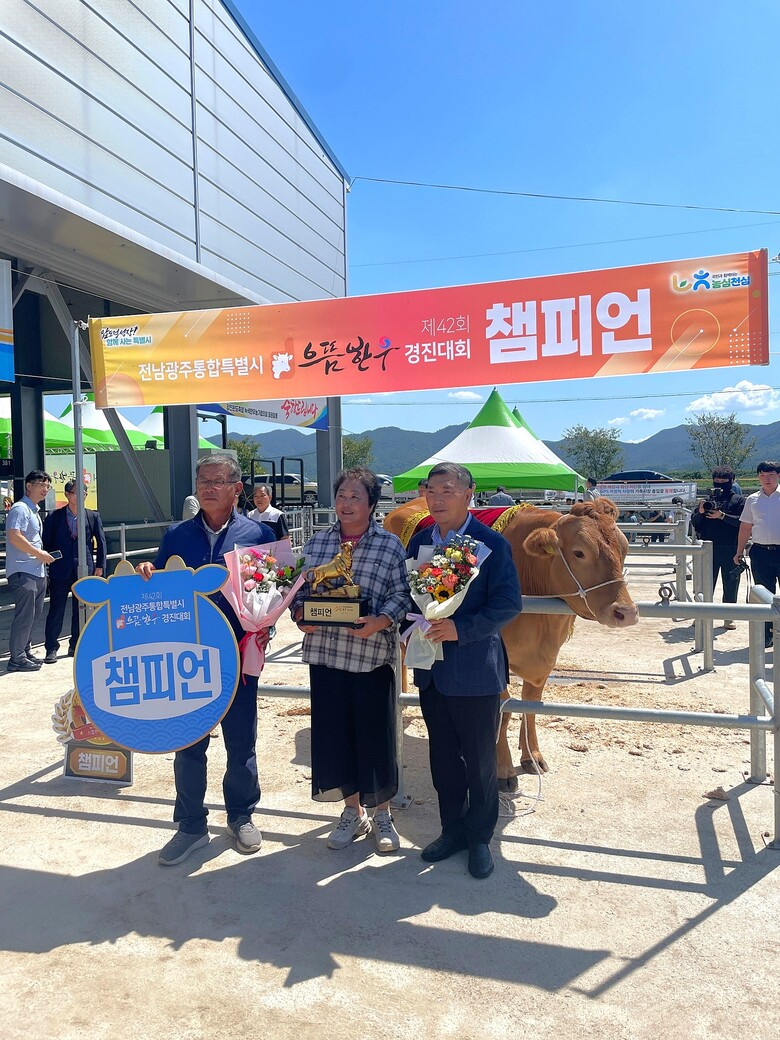 영암한우, 전남광주 으뜸한우 경진대회 ‘종합챔피언’ 이미지 2