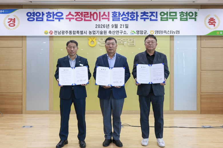 영암군, 수정란 이식으로 영암한우 개량 속도 높인다 이미지 2