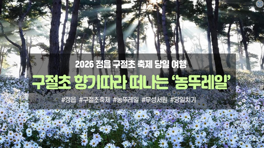 정읍 가을 하루에 담았다…구절초 축제 연계 ‘농뚜레일’ 예약 접수 (2)