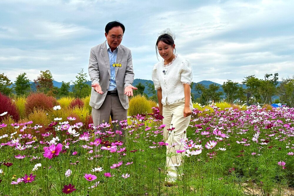 [포토뉴스] “억만송이 가을꽃 보러 영산강정원 오세요” 첨부 이미지 2