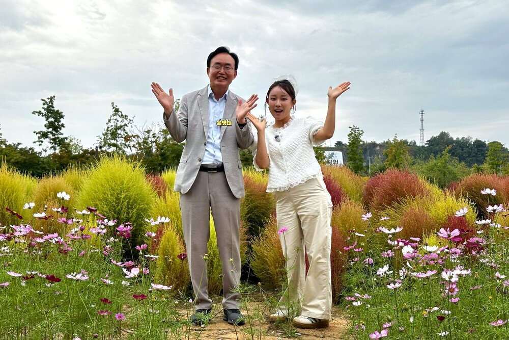 [포토뉴스] “억만송이 가을꽃 보러 영산강정원 오세요” 첨부 이미지 3