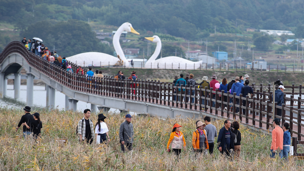 지난해 열린 강진만 춤추는 갈대축제 모습.