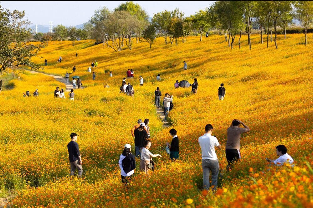 ‘2026 나주영산강축제’ 54만 명 찾았다…성황리 폐막 첨부 이미지 5