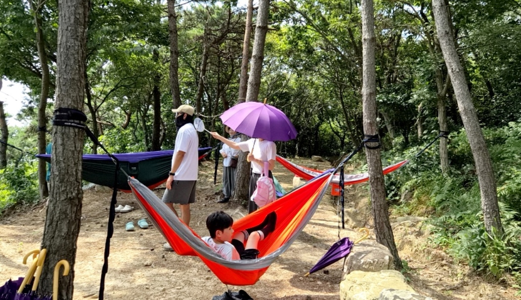 정읍 치유의 숲, 21일부터 무료 시범 운영…11월 29일까지 (2)