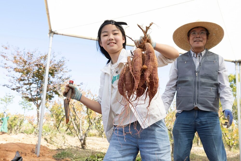 “직접 수확하고, 심고, 만들고”…나주농업페스타 체험 인기 첨부 이미지 2