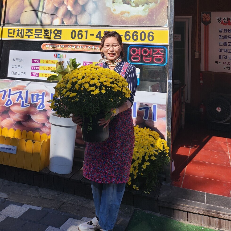 강진읍 주요 상가 일대에 국화화분을 전시하고 있다.