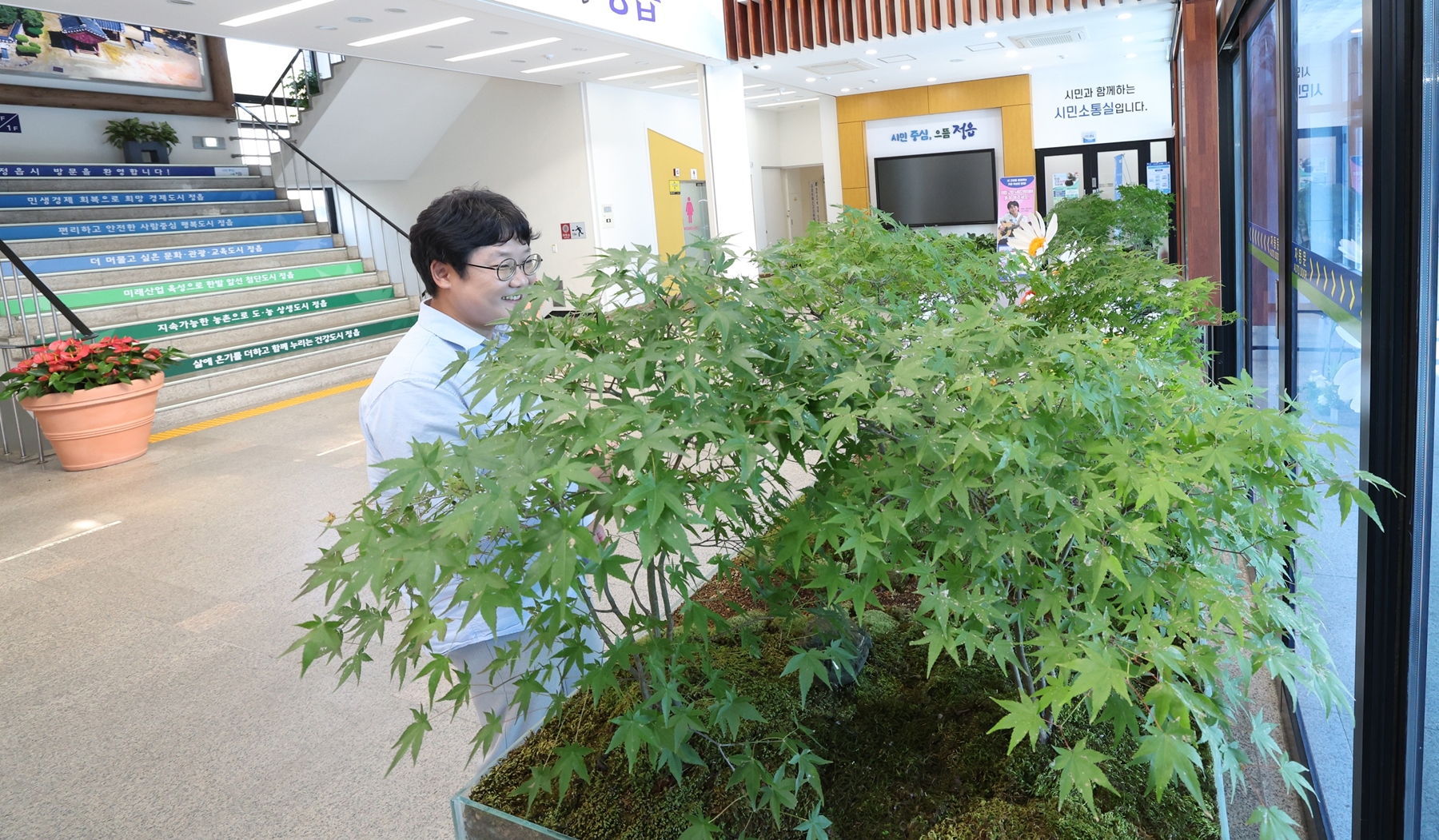 ‘단풍 1번지’ 정읍, 시청 안에 작은 단풍숲 (4)