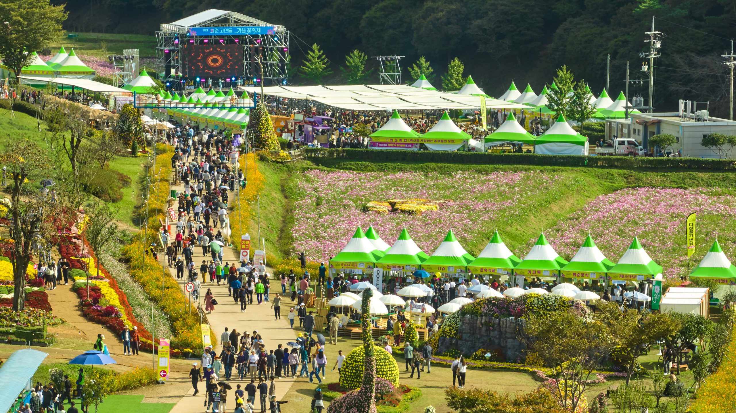 화순군, 「2026 세계문화유산 화순 고인돌 가을꽃 축제」 10월 16일 개막 3