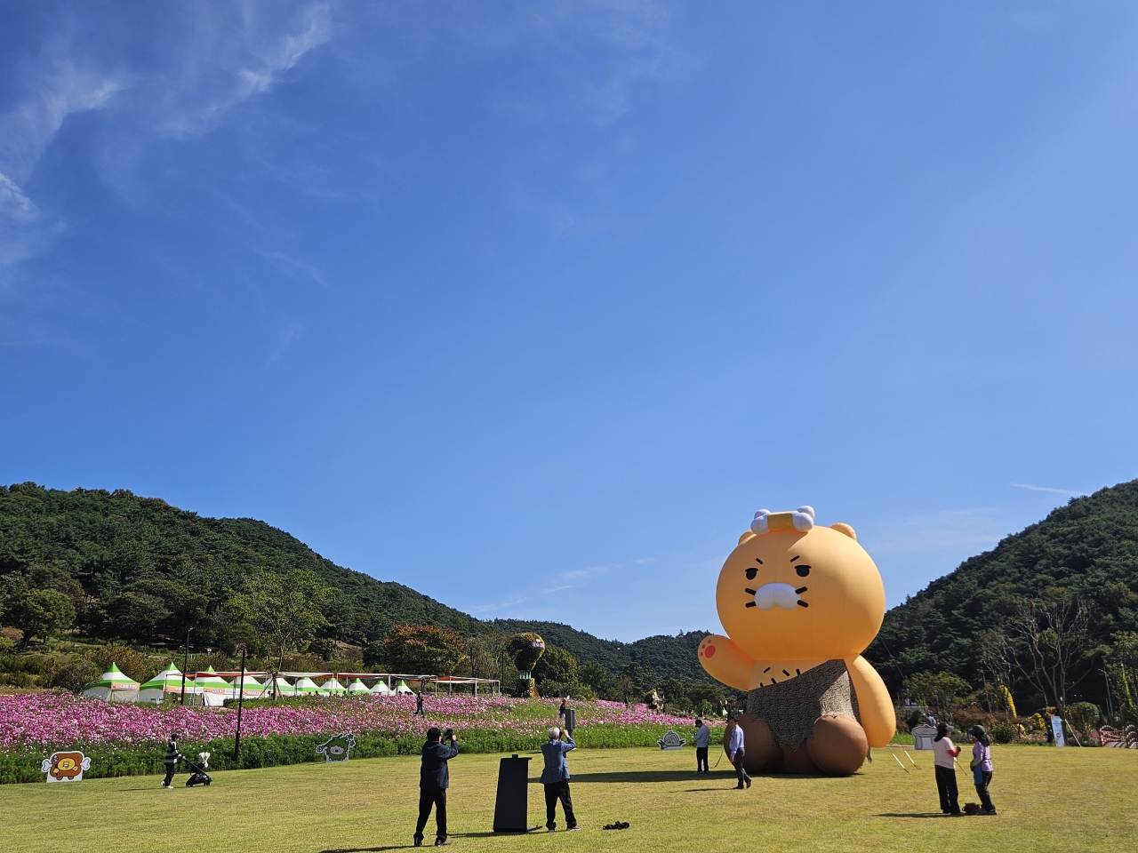 화순군, 「2026 세계문화유산 화순 고인돌 가을꽃 축제」 개막 3