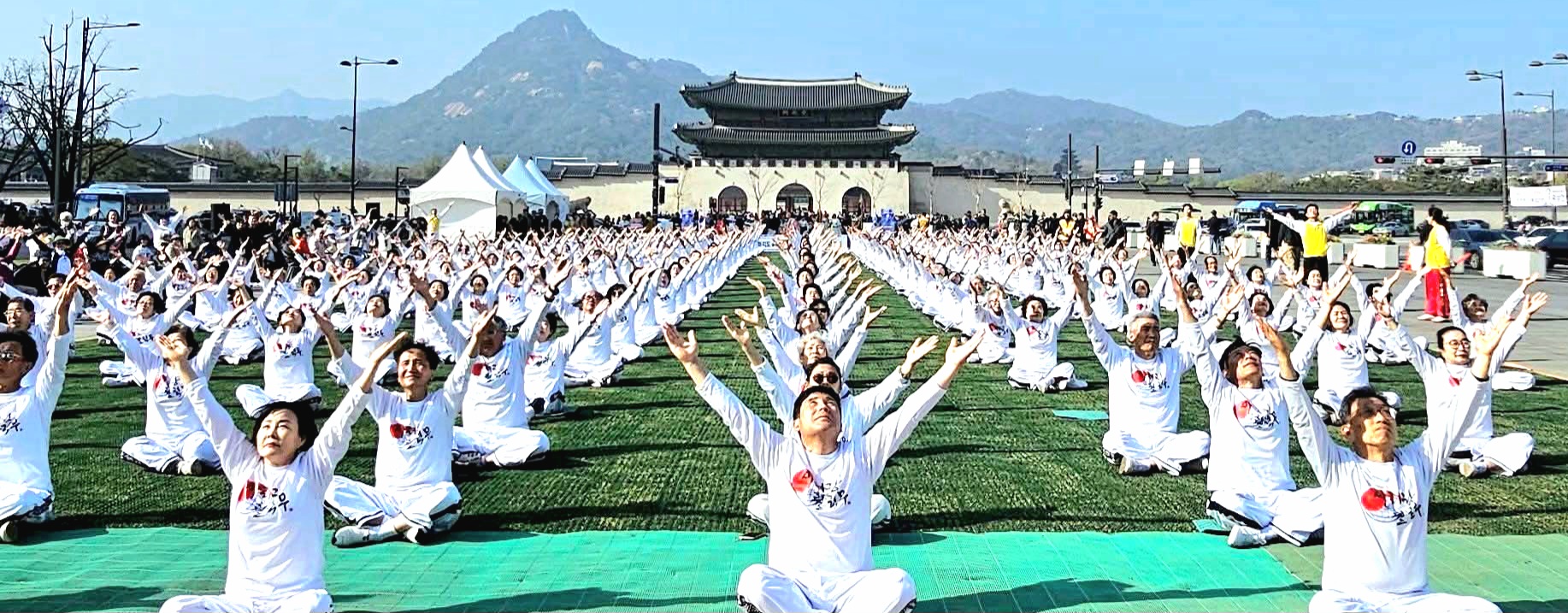 한한국 세계평화작가, 화순 고인돌 가을꽃 축제서 평화의 메시지 전한다 5