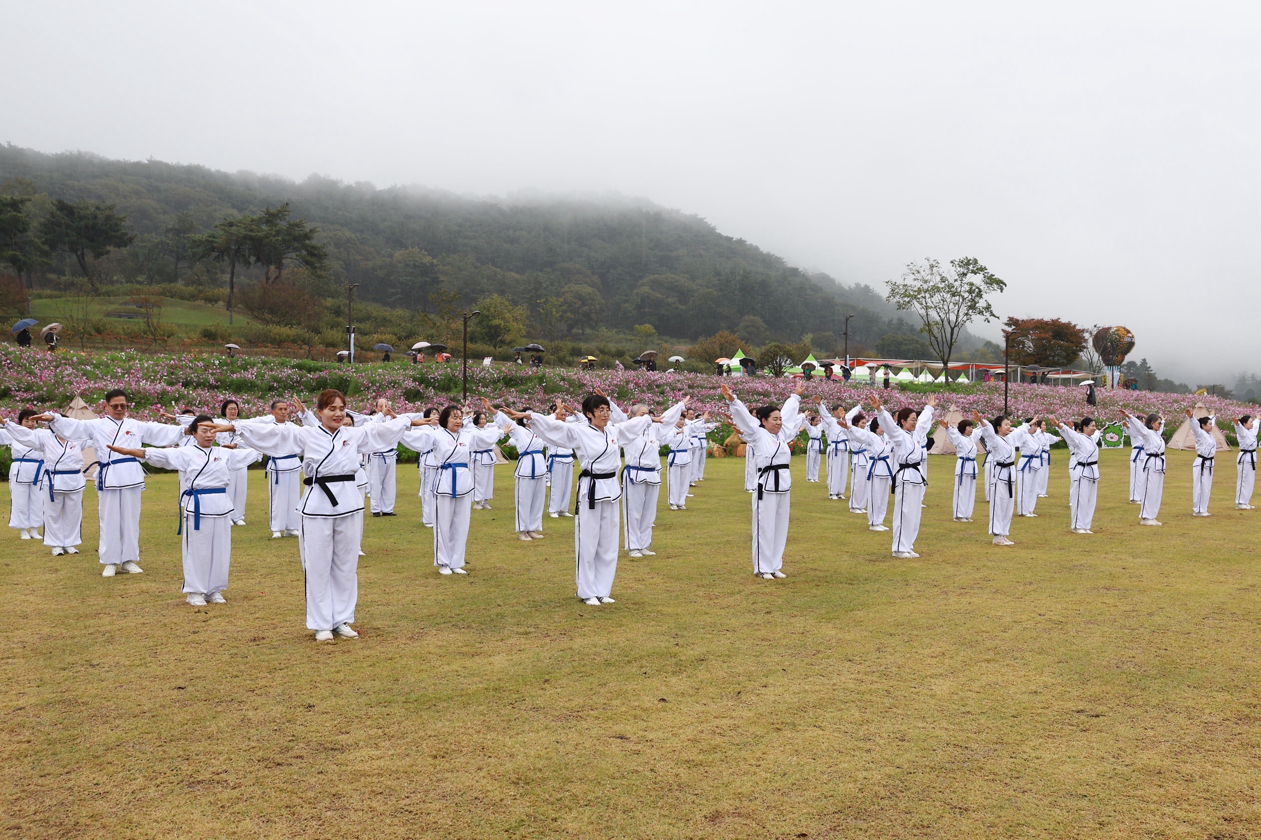 화순군 홍보대사 한한국·아리랑활력무 특별공연 성료 2