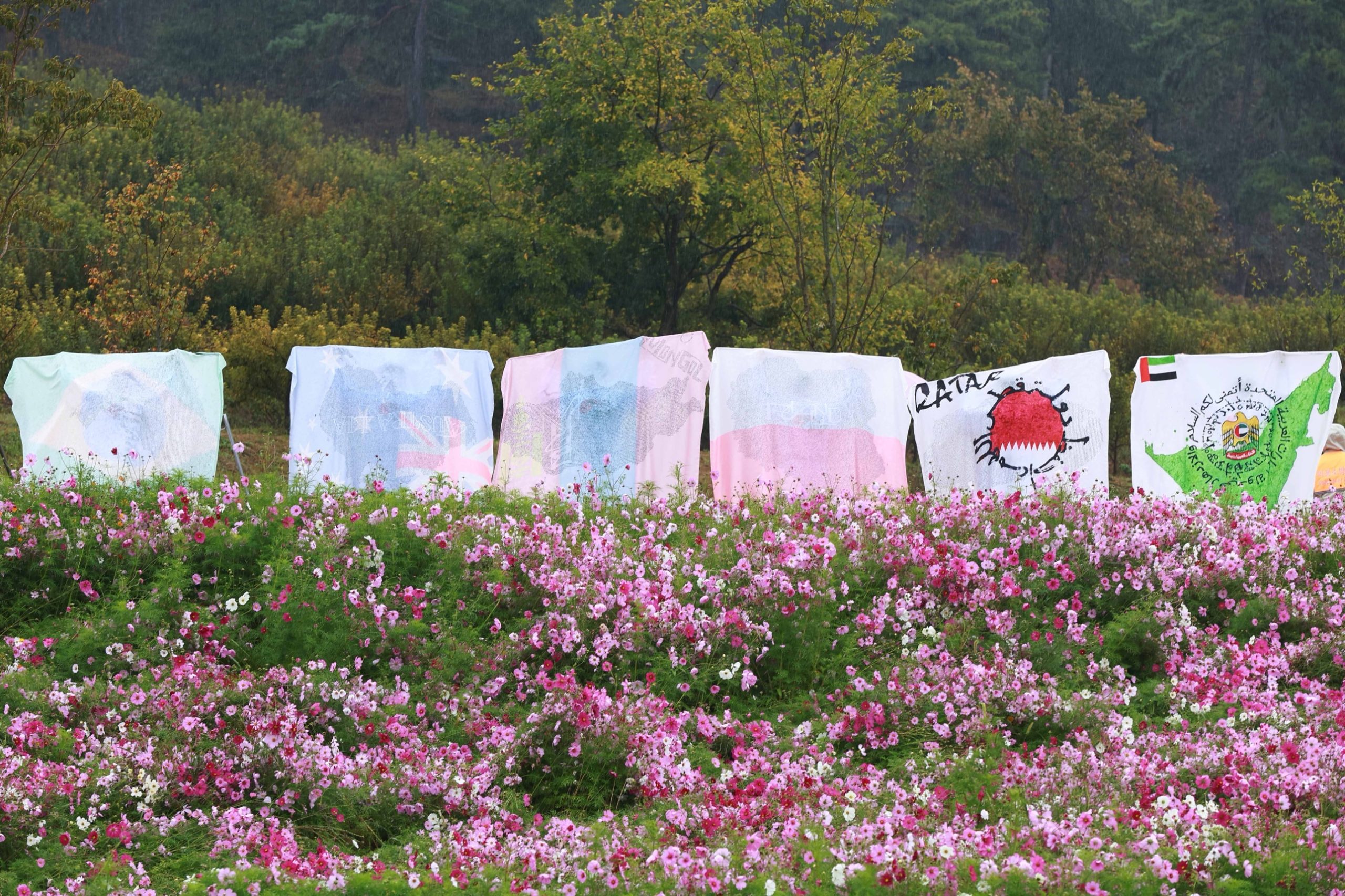 화순군 홍보대사 한한국·아리랑활력무 특별공연 성료 3