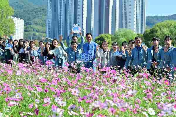 [포토] 장성군 “최고의 황룡강 가을꽃축제 선사” 이미지 4