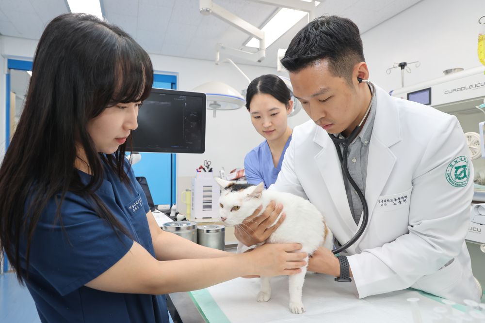 전남대학교 동물병원, 고양이 진료센터 개소