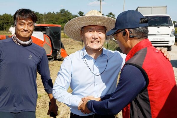 신안군, 폭염·가뭄에도 벼 풍년 농사 결실..