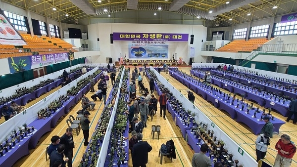 신안에서 만나는 우리 자생란의 아름다움, 대한민국자생란대전 개최..