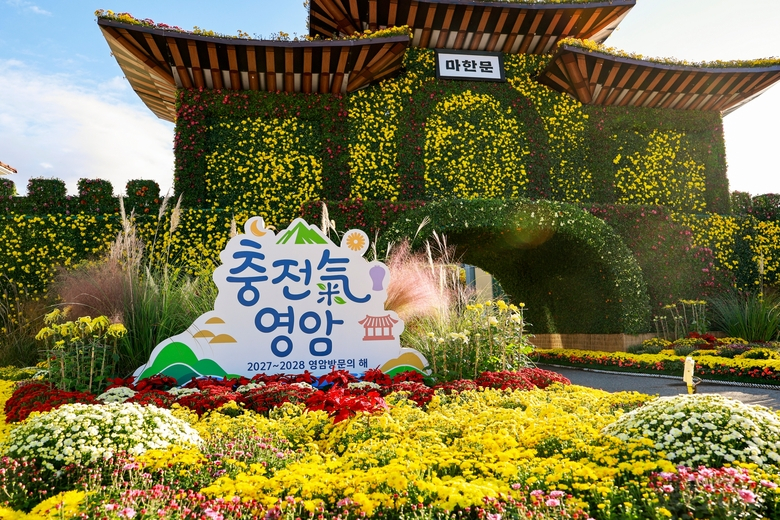 국가 명승 월출산과 가을 국화 사이에서 낭만 찰칵 이미지 2